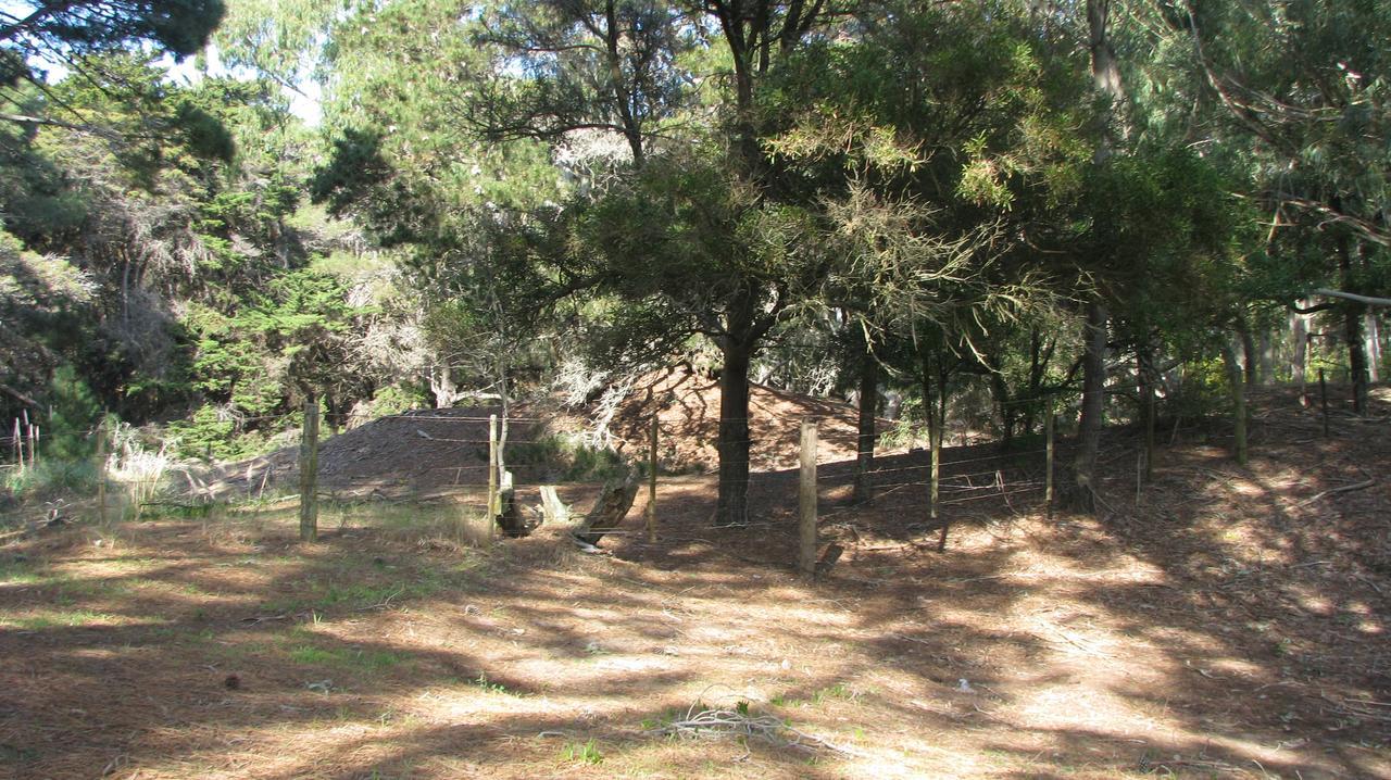 Holiday home Casa Alpina Frente Al Mar - *